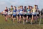 Boys under-15s Northern Cross Country  Championships, Pontefract. Photo: David T. Hewitson/Sports for All Pics